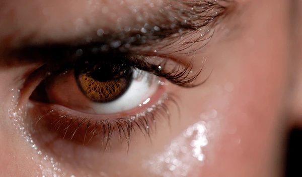 Read more about the article Sales Excellence: 3 CRM-Driven Priorities to Stay Ahead of the Curve